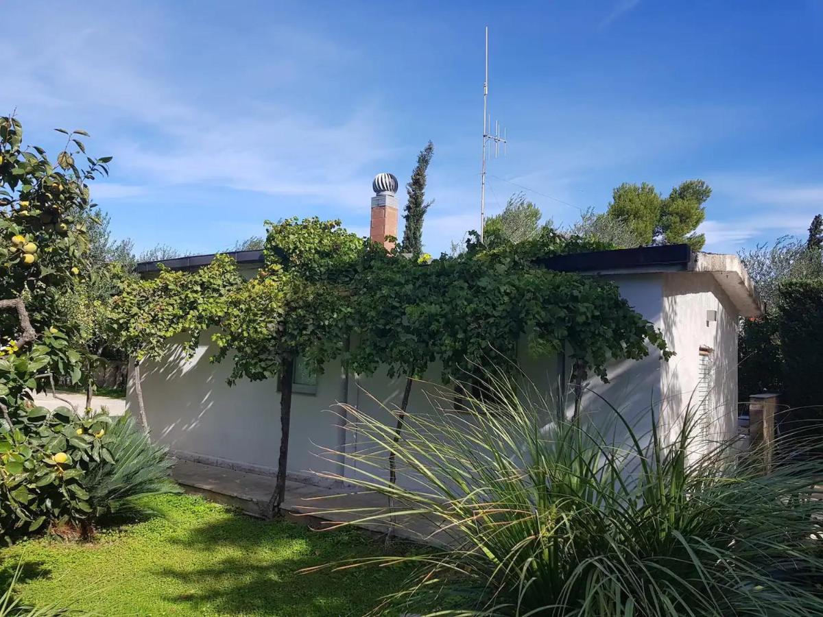 Countryhouse Gli Ulivi Модуньо Экстерьер фото