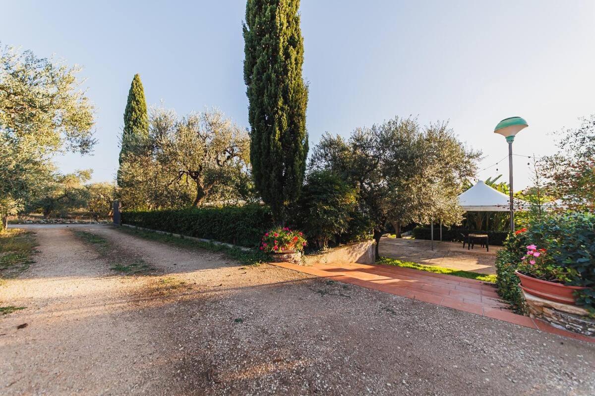 Countryhouse Gli Ulivi Модуньо Экстерьер фото